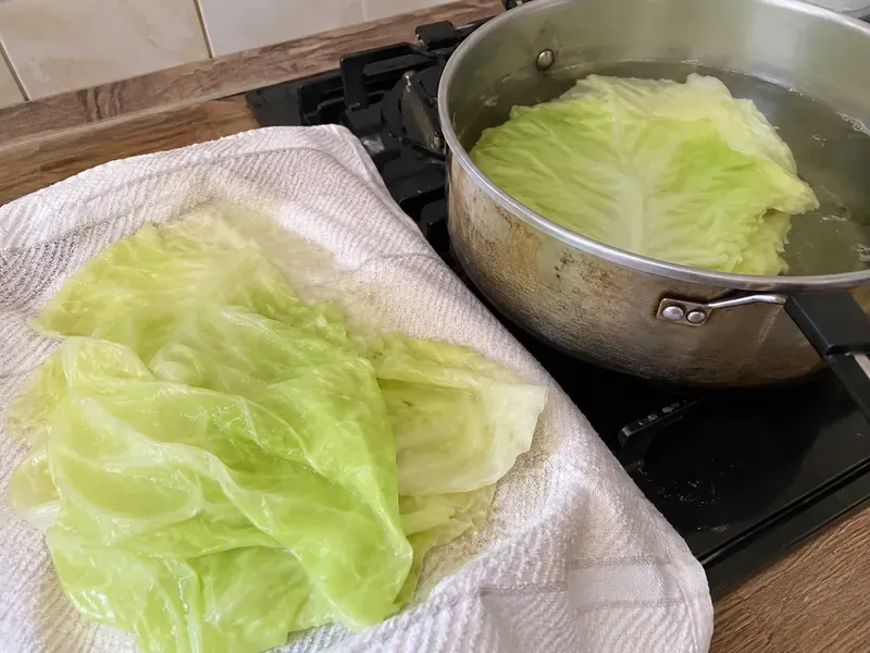Green cabbage leaves softened in hot water and patted dry for taco wraps.