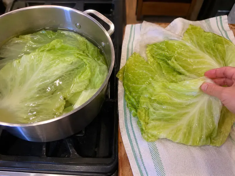 Green cabbage leaves softened in hot water and patted dry for cabbage dumplings.