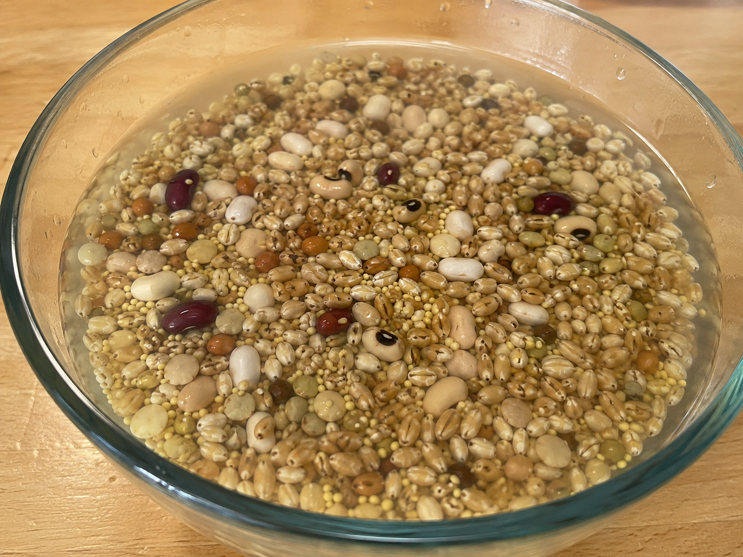 Grains, beans, millet, and lentils soaking in a bowl of water for Ezekiel bread.